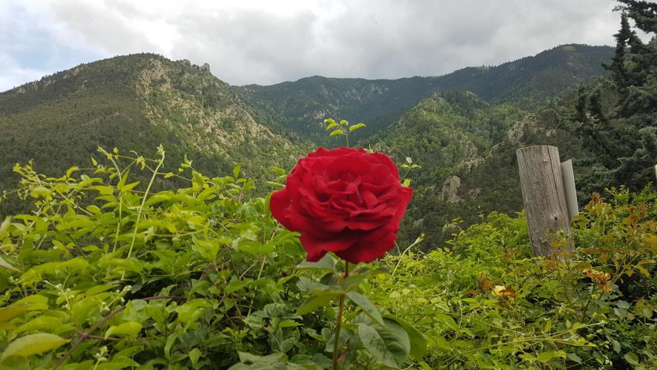 Camping Le P'Tit Bonheur Escaro Kültér fotó
