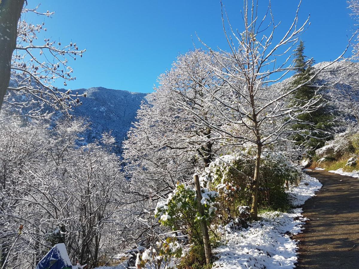 Camping Le P'Tit Bonheur Escaro Kültér fotó