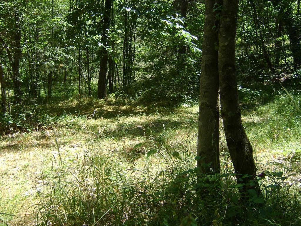 Camping Le P'Tit Bonheur Escaro Kültér fotó